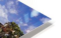 MG 3220 HD Metal print