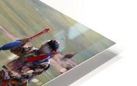 IMG 1037 HD Metal print