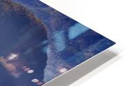 IMG 1944H HD Metal print
