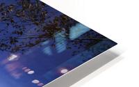 IMG 2402 HD Metal print
