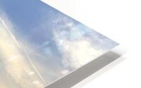 IMG 2281H HD Metal print