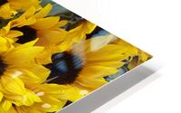 IMG 6671 HD Metal print