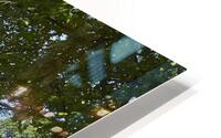 IMG 6733 HD Metal print