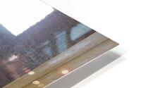 IMG 4982 HD Metal print