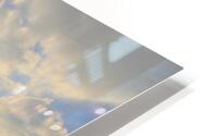 IMG 4902H HD Metal print