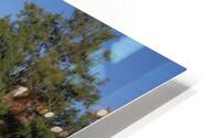 IMG 9328 HD Metal print