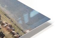 IMG 8210 HD Metal print