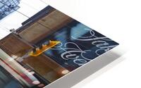 4X5A4613 HD Metal print