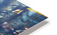 4X5A4024 HD Metal print