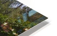 IMG 7917 HD Metal print