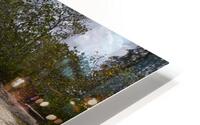 IMG 8776 HD Metal print