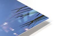 IMG 8689H HD Metal print