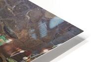 IMG 7627 HD Metal print