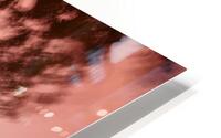 IMG 6317 HD Metal print
