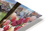IMG 6388 HD Metal print