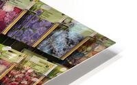 IMG 6366 HD Metal print