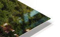 IMG 0330 HD Metal print