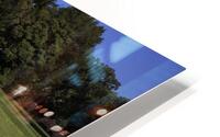 IMG 9684 HD Metal print