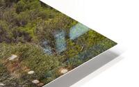IMG 3917 HD Metal print