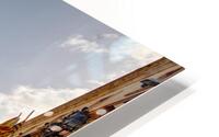 IMG 4385H HD Metal print