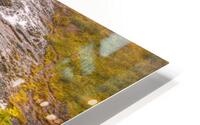4X5A7964H HD Metal print