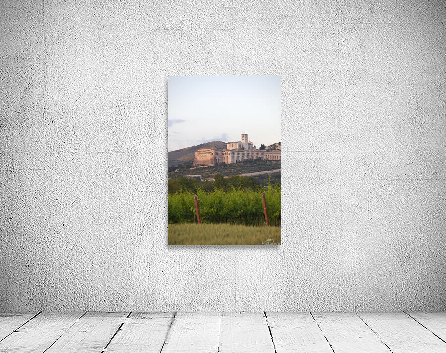 IMG 4094b Wall Preview