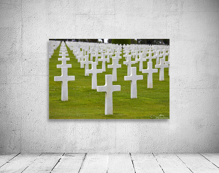 4X5A4243 Wall Preview