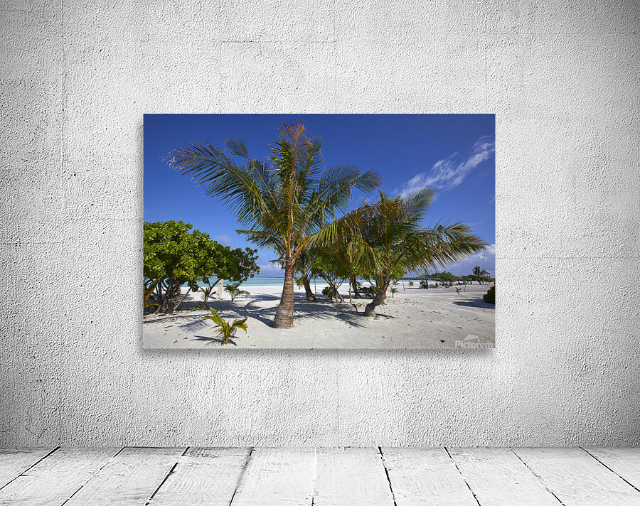 4X5A5197 Wall Preview