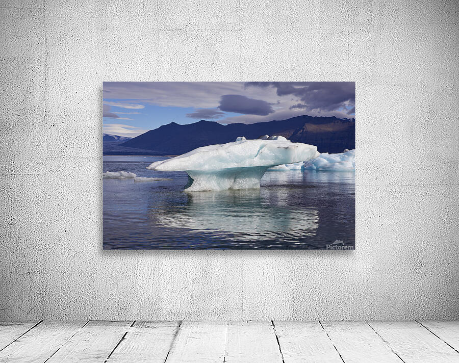 4X5A8614 Wall Preview