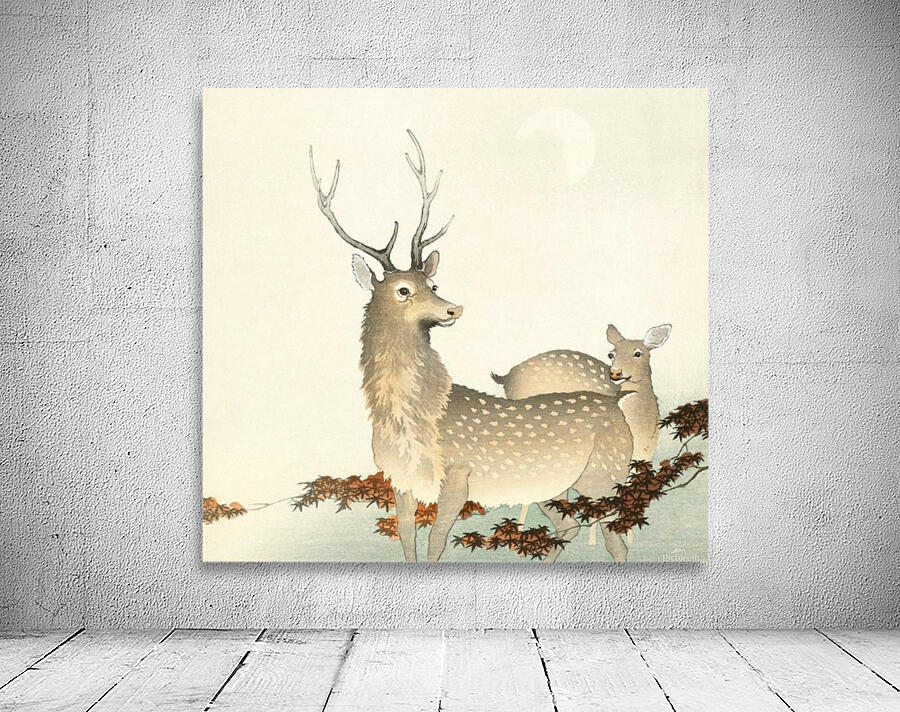 Twin Deers Wall Preview