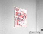 Tijuana City Downtown Street Map Acrylic Print