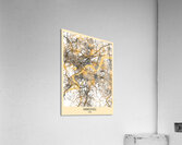Hangzhou City Map Acrylic Print
