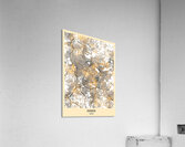 Amman Jordan City Map Acrylic Print