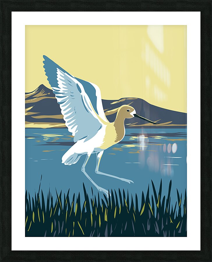 American Avocet Picture Frame print