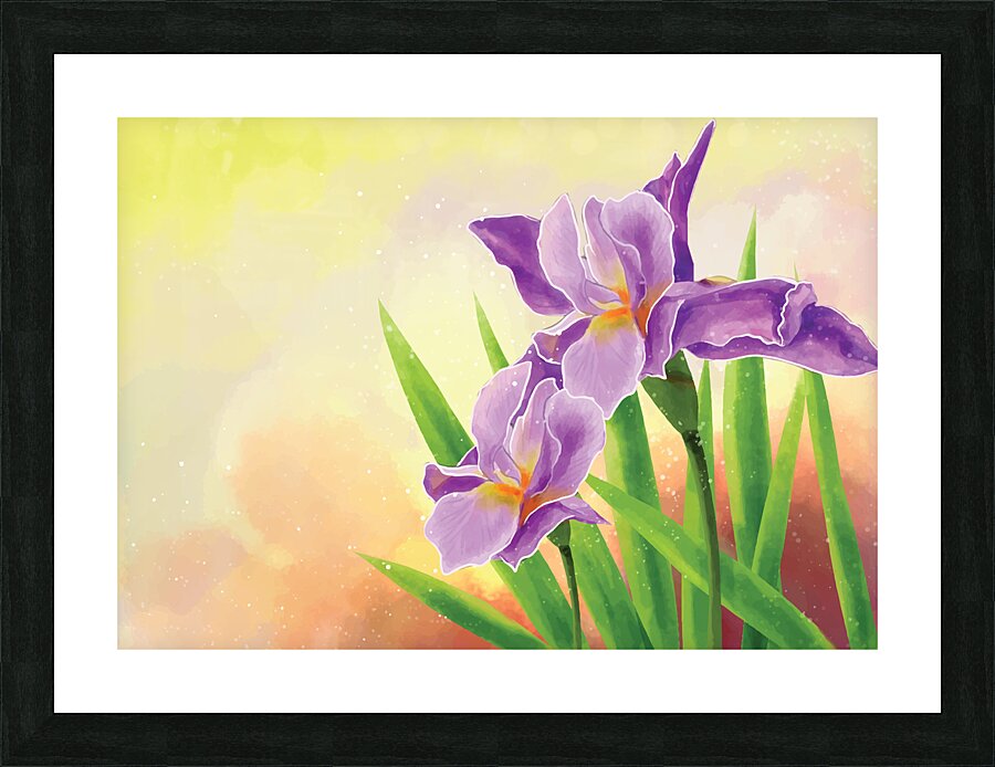 Hand Draw Iris Flower Picture Frame print