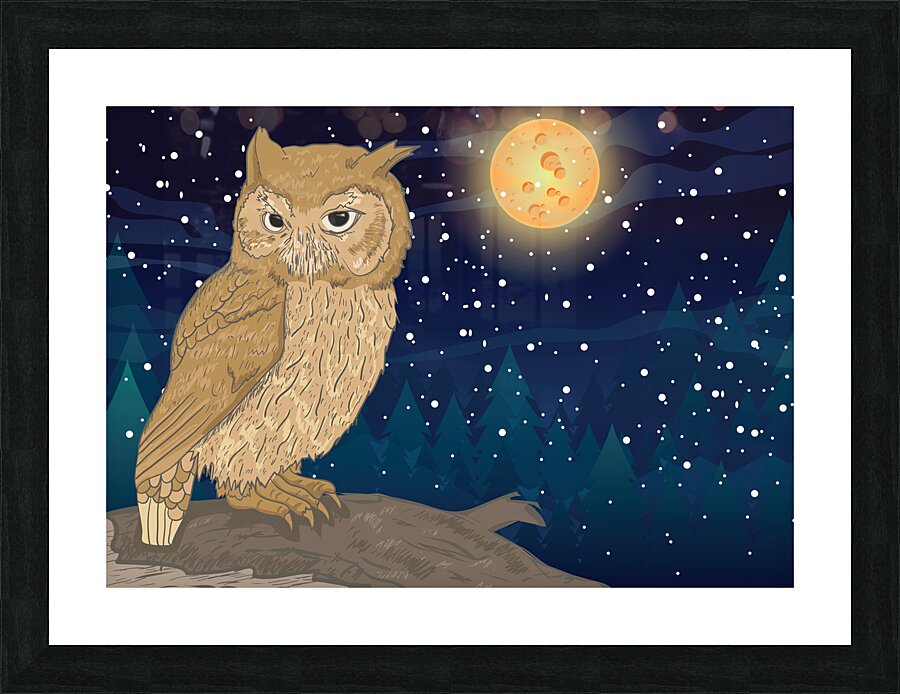  Owl with Moon Picture Frame print