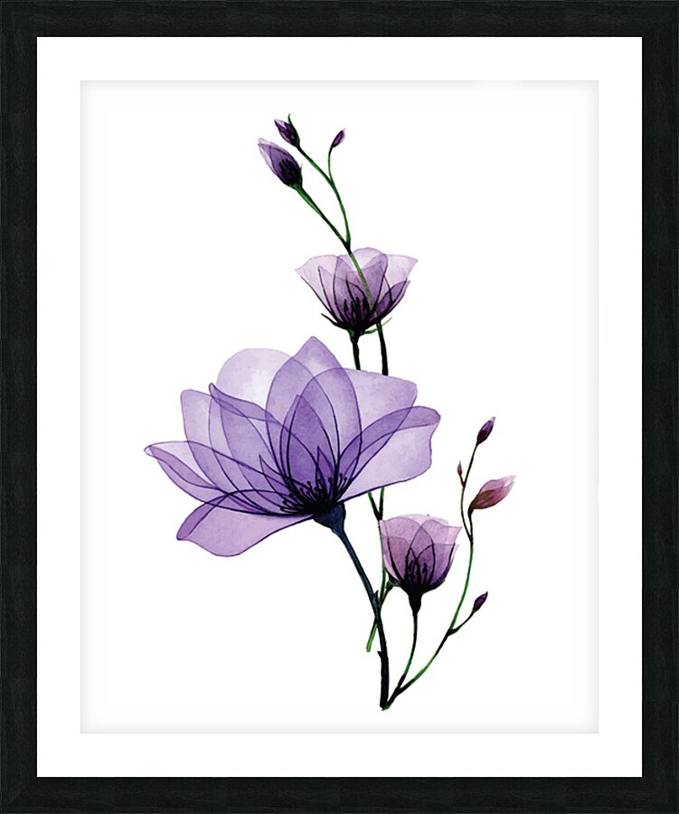 Wild rose flowers Picture Frame print