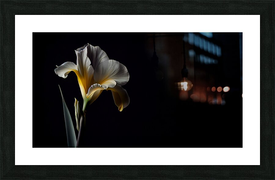 Dark Canna Flower  Picture Frame print