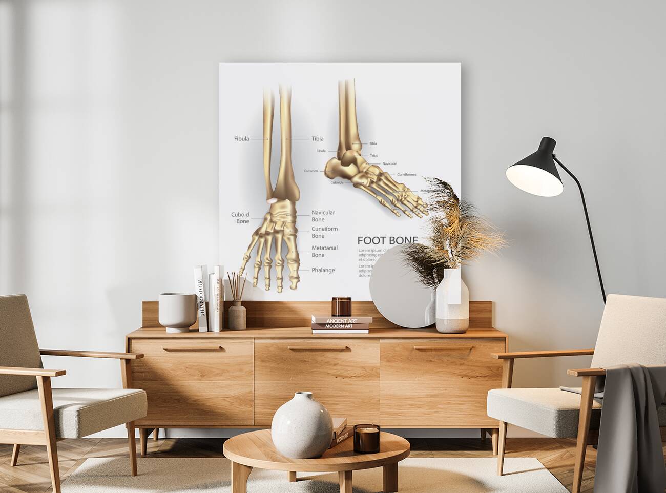 Human Foot Bone Reproduction