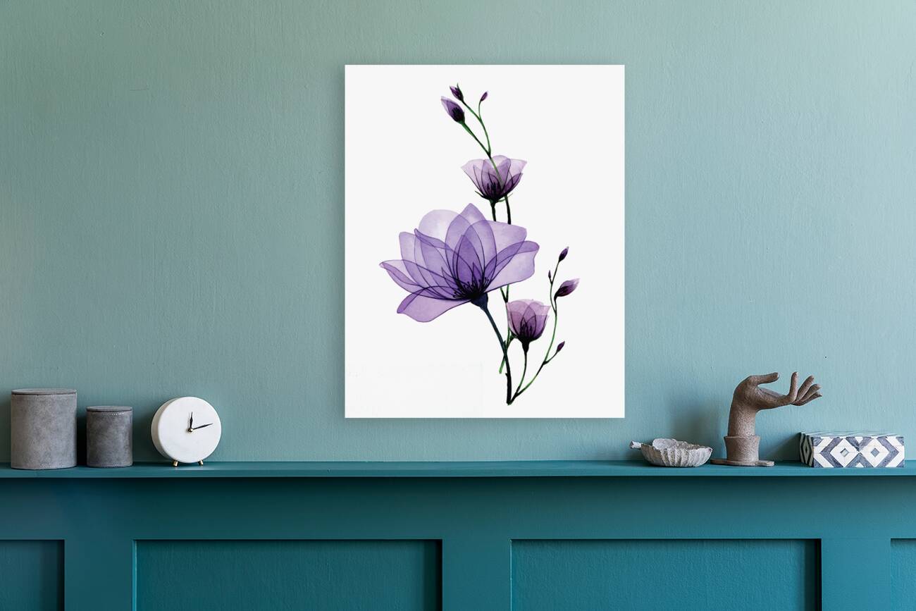Wild rose flowers Reproduction