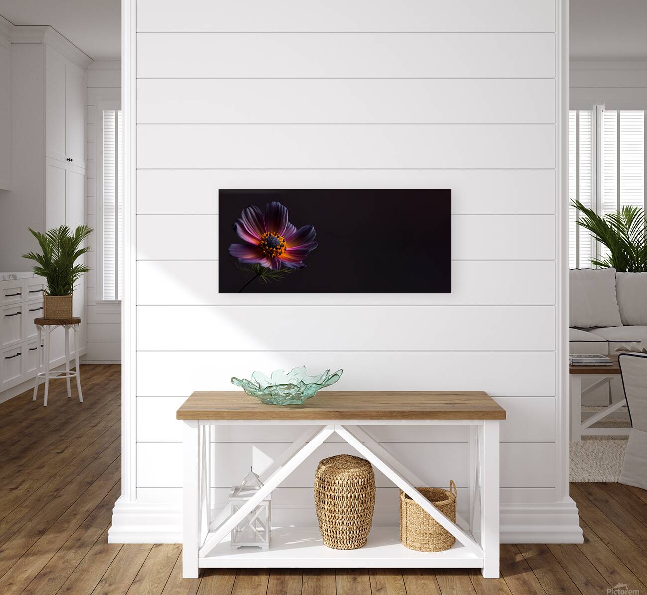  Dark cosmos flower Reproduction
