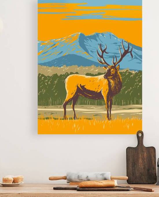 Wapiti in the Rocky Mountain National Park by Point Art