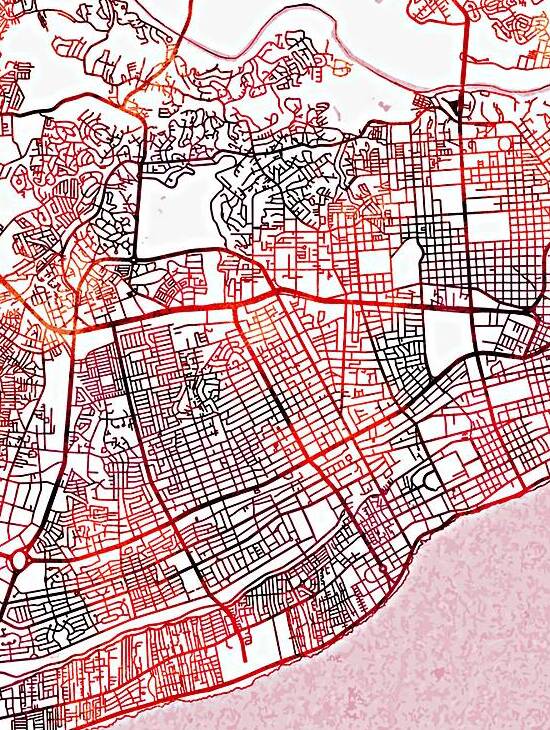Santo Domingo City Downtown Street Map by Point Art