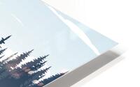  Foggy pine forest HD Metal print