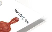 Human body systems   HD Metal print