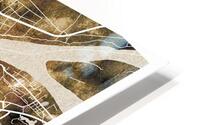 Jiujiang China Map HD Metal print