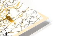 Delhi City Map HD Metal print