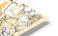 Shenzhen City Map HD Metal print
