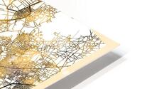 Kano City Map HD Metal print