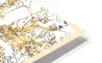 Pune City Map HD Metal print
